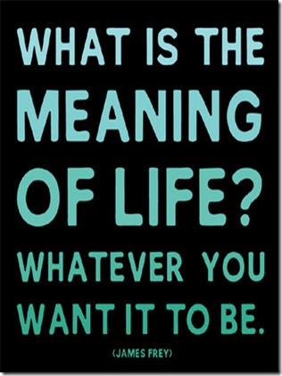 md167the-meaning-of-life-james-frey-posters