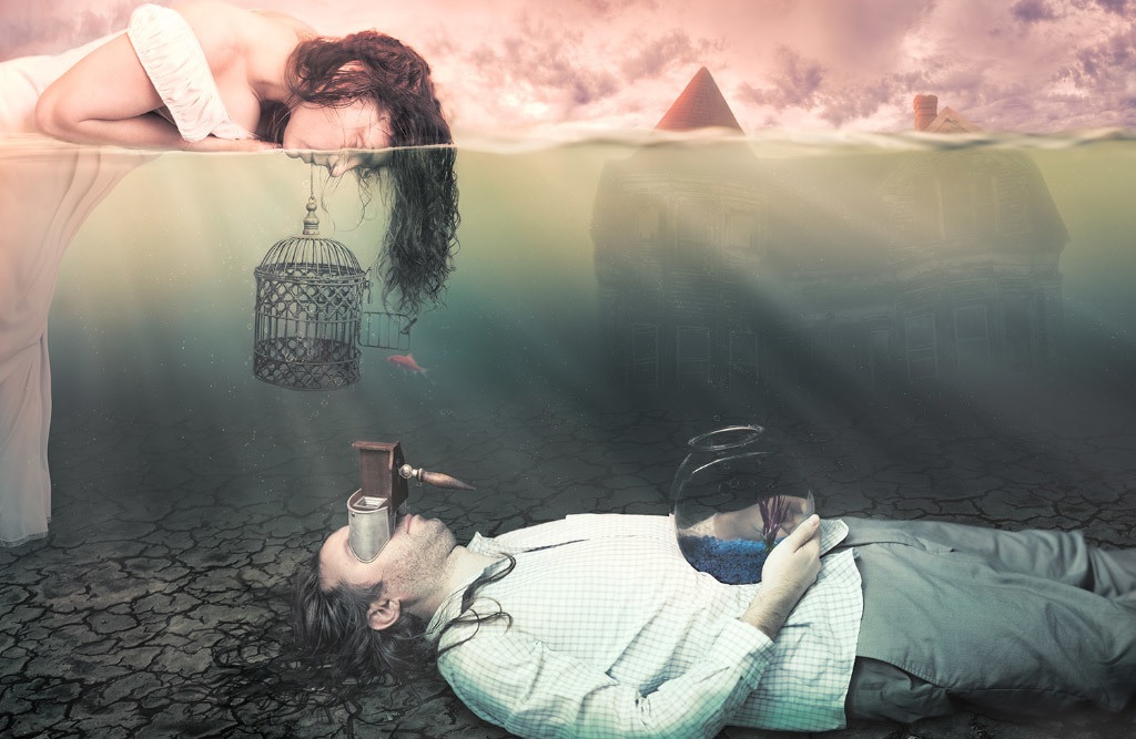 Complicity-Teresa-Meier